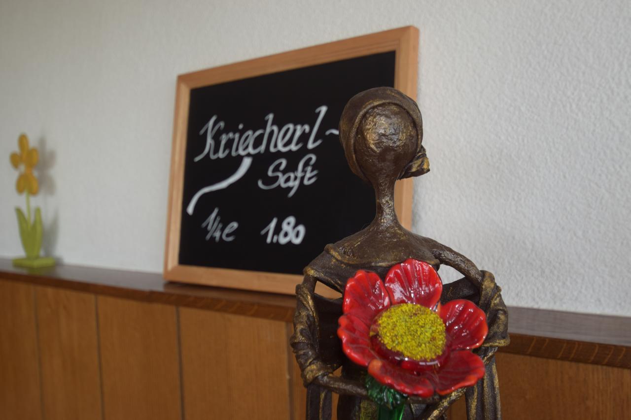 Gasthaus Donaublick Leiben Zewnętrze zdjęcie